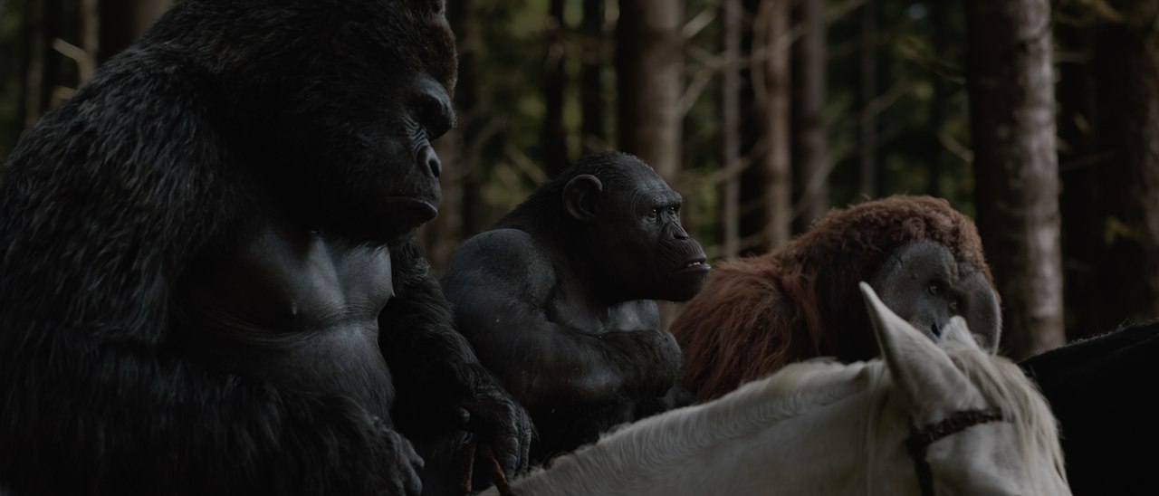 ����� ����� �� �������� �� ��������� �� ���������